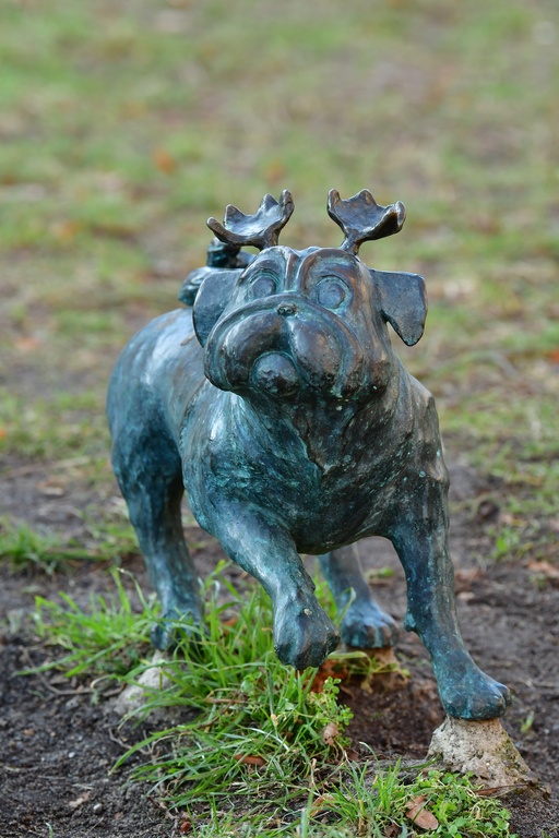 2026-01-08 Brandenburg an der Havel/Waldmöpse/DSC_2358.JPG